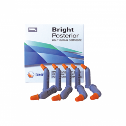 BRIGHT POSTERIOR CAPS A3 