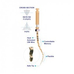 SUPER FILES GOLD 31MM ASSORTIS