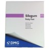 SILAGUM PUTTY FAST 2X262ML DMG REF 909037 