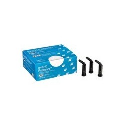 EVERX POSTERIOR GC REF 005117