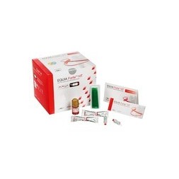 EQUIA FORTE HT B2 CLINIC PACK 200 CAPS 901583 GC
