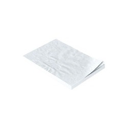 FILTRES POUR CONTAINER 300250 X100 DIM 25X15X6  NICHROMINOX