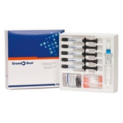 GRANDIO SEAL COFFRET SERINGUES 5X2GR VOCO 1060