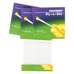 PIC N STIC PULPDENT BTE DE 60 