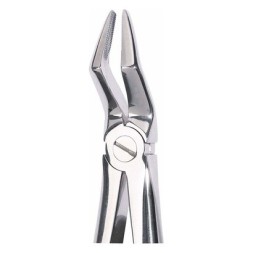 PINCES DENTAIRES OMNI OK RACI NE FIGURE 51 PC