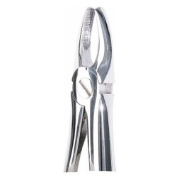 PINCES DENTAIRES OMNI OK DENT ANTÉRIEURE FIGURE 1 PC