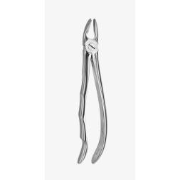 DAVIER ADULTE N° 2400-17 SDM MOLAIRES SUPERIEURES DE DROITE