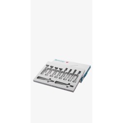 SET DE 10 DAVIERS  2500-SET-10 SDM 