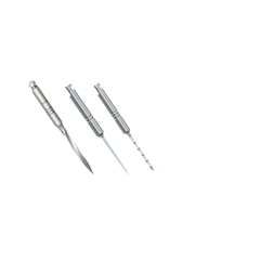FORETS DENTATUS N° 2 LONGS PAR 3  RUA-2REAMERS 