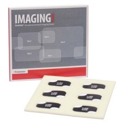 CAPTEUR DIGORA OPTIME AD.BLEU N° 3  9802304 (900207) PAR 6 