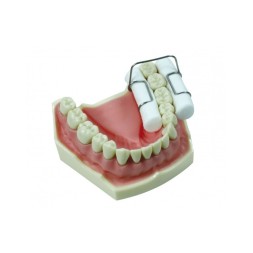 PORTE-COTON HOLDROLL DENT-O-