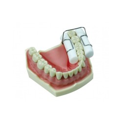 PORTE-COTON HOLDROLL DENT-O-