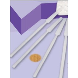 SPATULE A  CIMENT REF R23