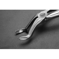 DAVIER DENTS DE SAGESSE HAUT DROIT ET GAUCHE