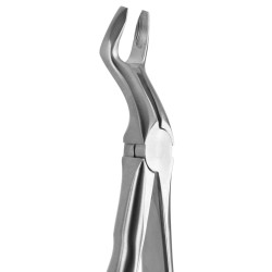 DAVIER DENTS DE SAGESSE HAUT DROIT ET GAUCHE MORS FINS