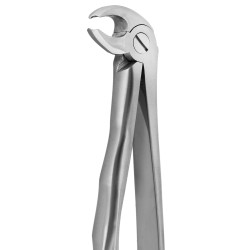 DAVIER MOLAIRES DU BAS COTE DROIT ET GAUCHE