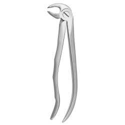 DAVIER MOLAIRES DU BAS COTE DROIT ET GAUCHE