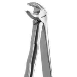 DAVIER PREMOLAIRES DU BAS COTE DROIT ET GAUCHE