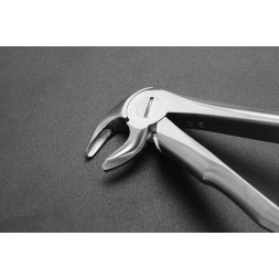 DAVIER PREMOLAIRES DU BAS COTE DROIT ET GAUCHE