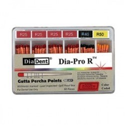POINTES GUTTA DIA-PRO ASSORTIS X60 DIADENT ML 164-691