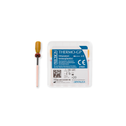 THERMO GP OBTURATEUR ISO 025 X6 REF PR0025625 DENTALICA
