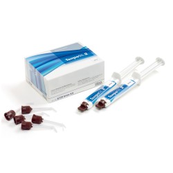 TEMPOSIL 2 KIT INTRO