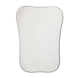 PALATIN ADULTE  MIROIR INTRA BUCCAL