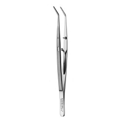 PRÉCELLE ENDODONTIQUE