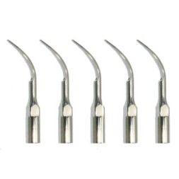 INSERTS GD1 PAR 5