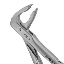 DAVIER INCISIVE ET CANINE INFERIEURE F36XS