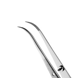 PRECELLE PERRY DP1